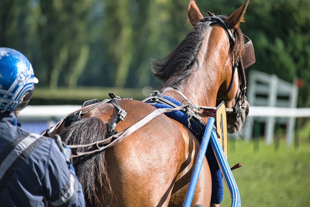Is Legal Mumbai Race Course Betting Legal in India? Complete 2026 Guide
